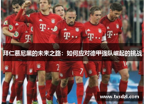 拜仁慕尼黑的未来之路：如何应对德甲强队崛起的挑战