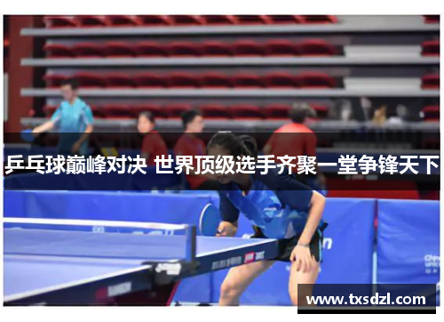 乒乓球巅峰对决 世界顶级选手齐聚一堂争锋天下