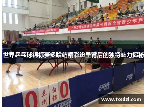 世界乒乓球锦标赛多哈站精彩纷呈背后的独特魅力揭秘