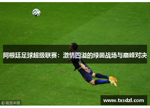 阿根廷足球超级联赛：激情四溢的绿茵战场与巅峰对决