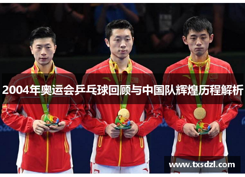2004年奥运会乒乓球回顾与中国队辉煌历程解析